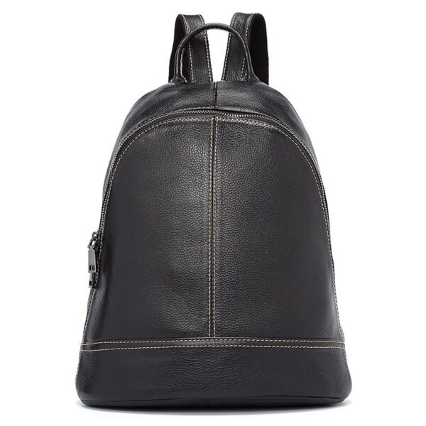 College Style Casual Top Layer Leather Backpack