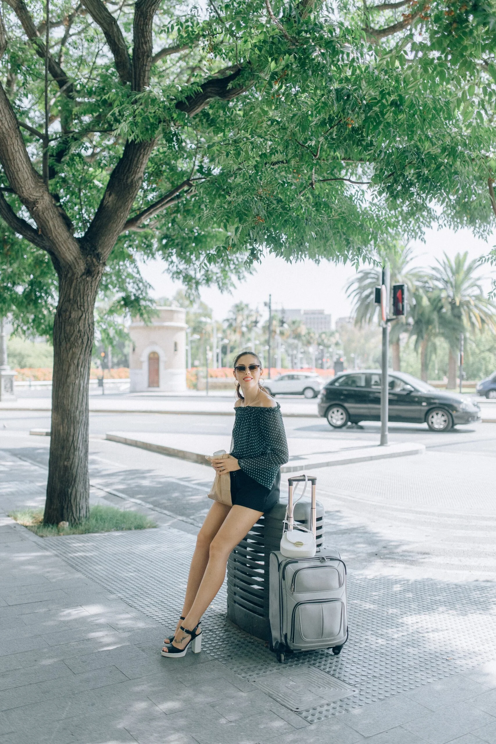 A stylish and elegantly dressed lady with travel luggage; a suitcase and a handbag
