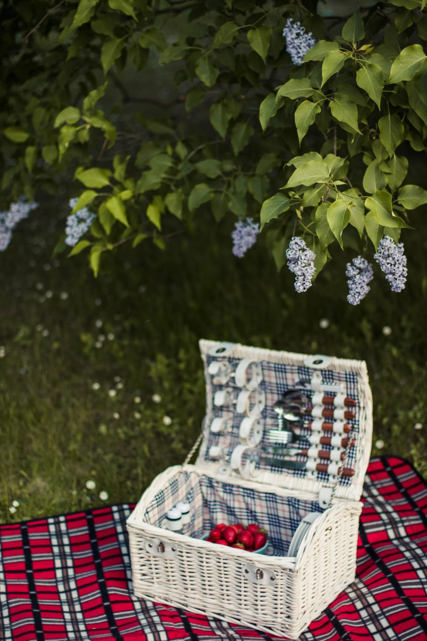 A picnic mat and a basket in a green park